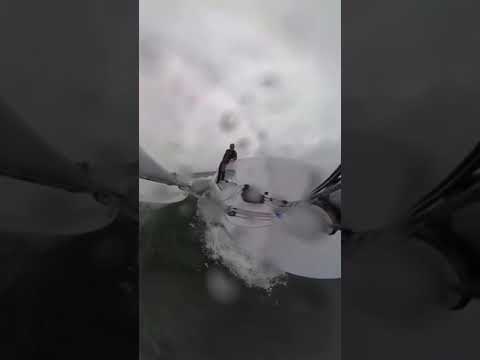 Ziua grea a lui Kiwi Sailor la birou