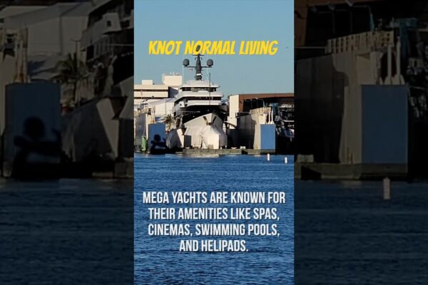 Teritoriul super -iaht din lume | Nod de viață normală