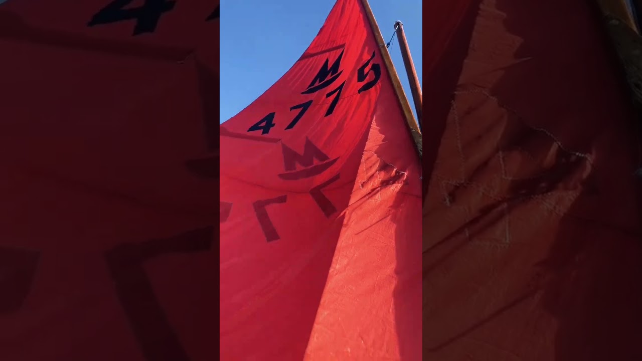 Oglindă din Dinghy Sailing Devon. Aceasta este libertatea #adventure #dinghysailing #sailing #boat #shorts