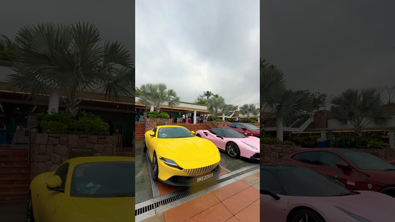 Clubul proprietarilor Ferrari Singapore - Singapore Yachting Festival 2025 | Sentosa Cove #d9ine