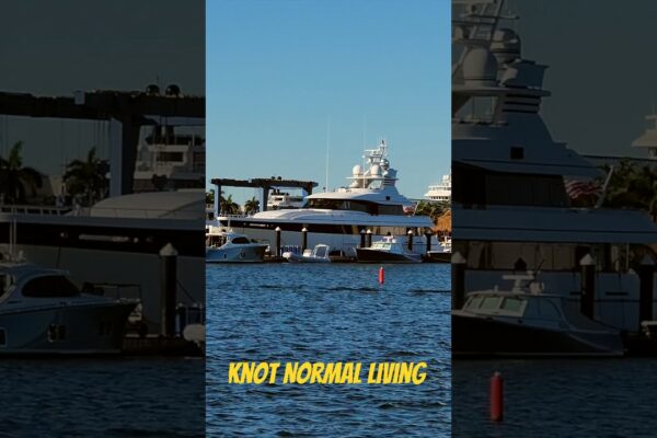 Timp de petrecere a iahtului | Nod de viață normală