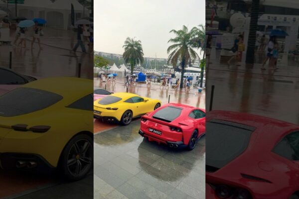 Clubul proprietarilor Ferrari Singapore - Singapore Yachting Festival 2025 | Sentosa Cove #d9ine