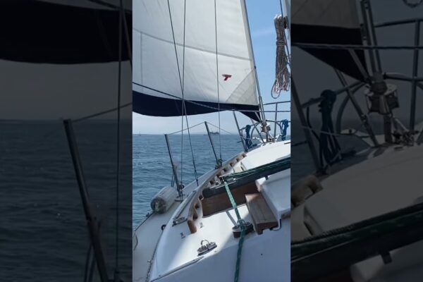 Trebuie să faceți acest lucru ➡️ Navigare lină! #Shorts #Sailing #SaIor #Sailboat #Catalina30
