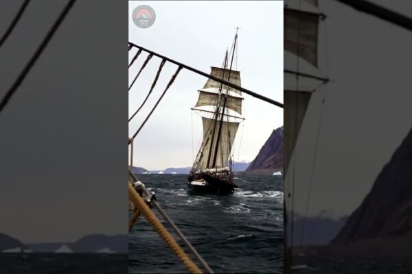 Barca de dans navigând pe mare seara #Shorts