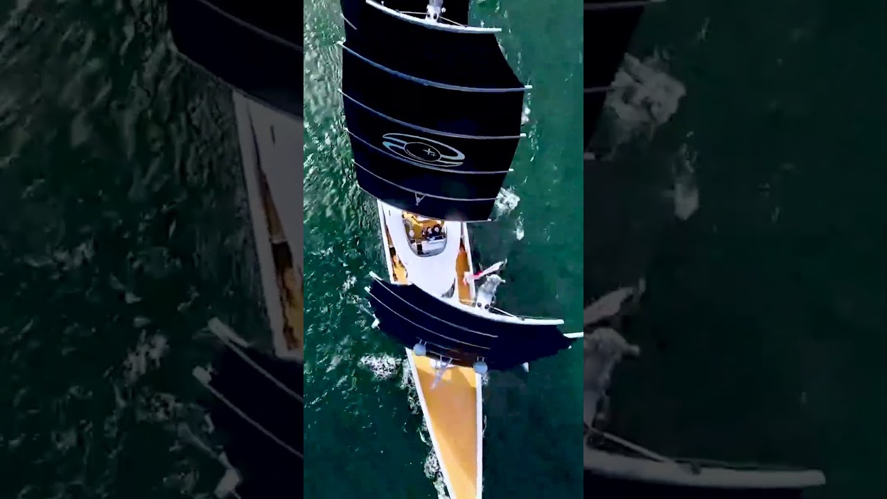 Aceasta este perla neagră!