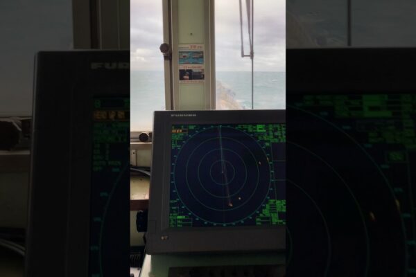 Navigarea în Coreea de Sud în Sea🌊#pantaloni scurți