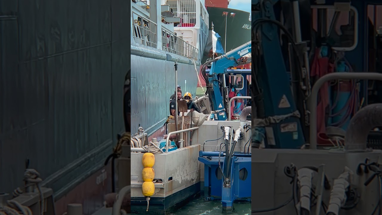 Dufour 61 Transport pe un feribot pentru iahturi #Interparus #Shorts