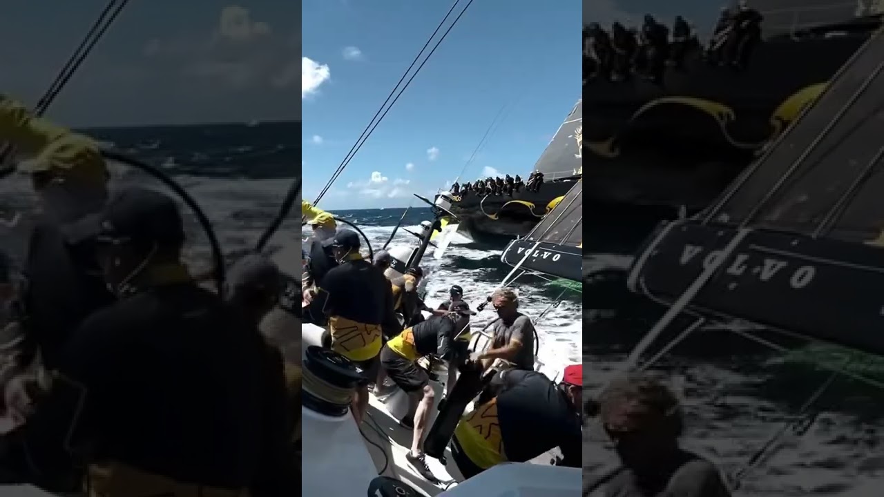 Uită -te în spatele tău #Shorts