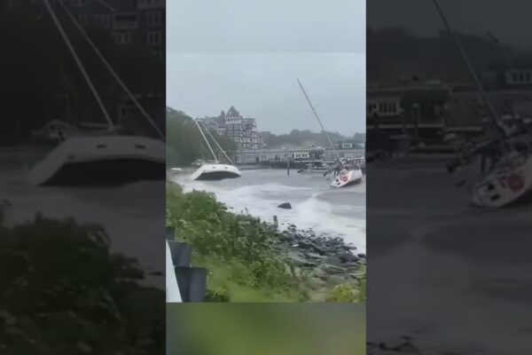 Coșmaruri! 😬 #Shorts