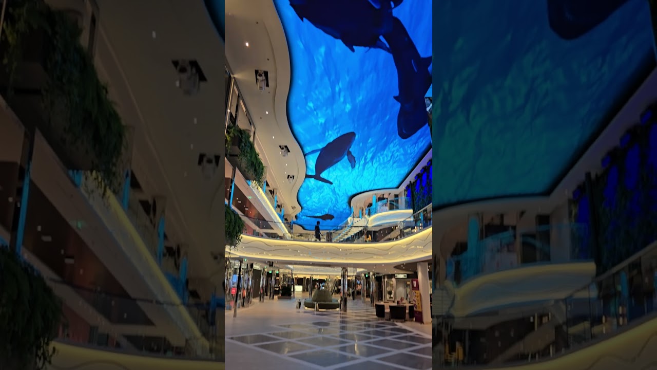 Rechini Unreal Up Top the MSC World America Plafon | MSC World America Ultimate Guide