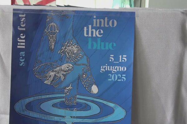 A 5 -a ediție a „Into the Blue” prezentată la Nautical Club
