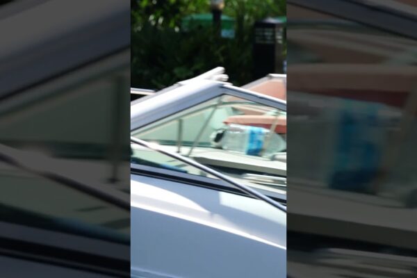 💃🛥️ Doamnelor călăresc cu arcul - Miami Yacht vibrează pe punctul 🌞🌊