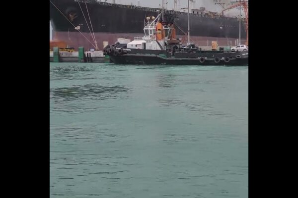 #Shorts #2022 #tugboat