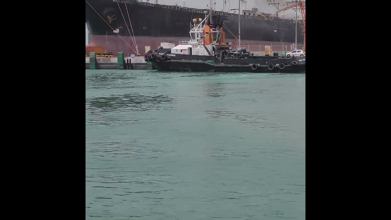 #Shorts #2022 #tugboat
