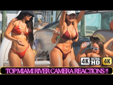 Barci și iahturi din Miami River Weekend -ul trecut [MUST WATCH MIAMI BEST PLACE TO VISIT ] Boathub