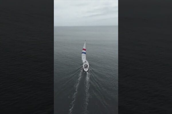SUA: California - Santa Cruz Sailing #Shorts #Santacruz #sailing