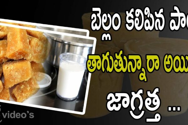 Bea lapte în jaggery / jaggery