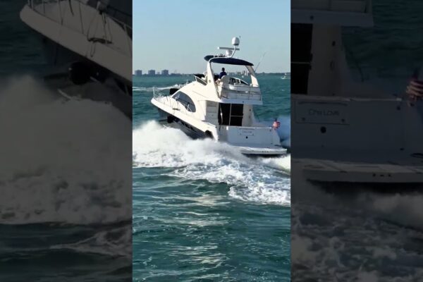 @Blacklisted Navy #Shorts #shortsboat scufundare! Familia intră în panică#pantaloni scurți