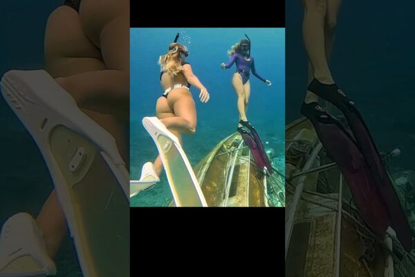 Sirene 🧜‍♀️ Verificând o barcă pe care au ajutat -o să se scufunde! #Sailing #Sailfish #Shorts