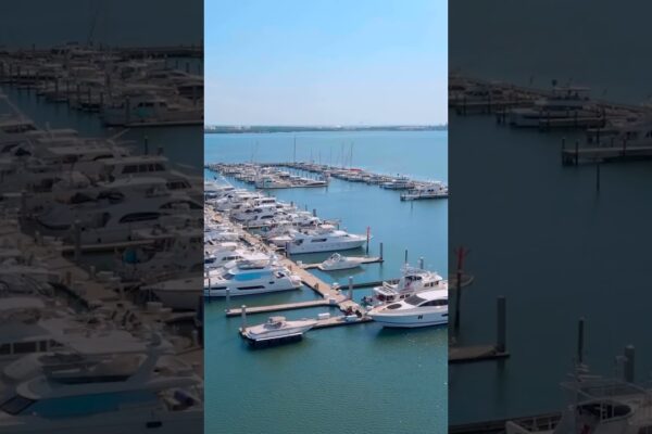 Aqua: Living de pe malul apei cu privilegii de acces la marina și privilegii clubului de la Westshore Yacht Club