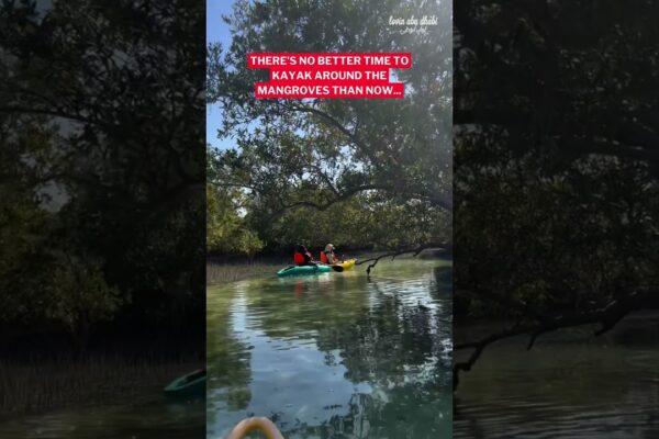 Kayaking în Abu Dhabi este o aventură!