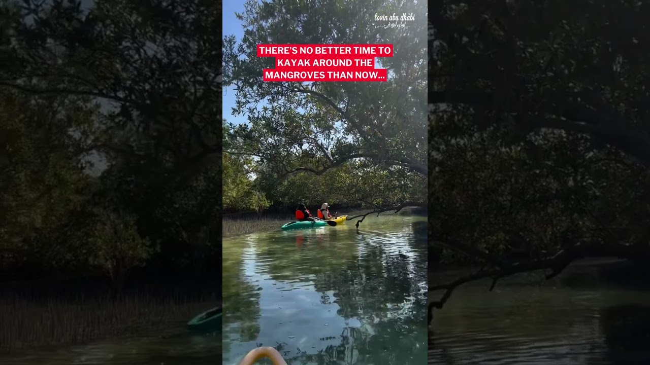Kayaking în Abu Dhabi este o aventură!