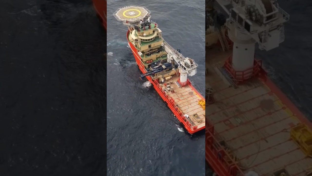 Vizualizări aeriene care prezintă impresionantul constructor C în elementul său offshore #trending #viral #shorts