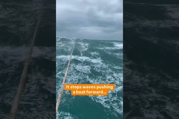 Știți diferența dintre o ancoră de mare și un drog de mare?