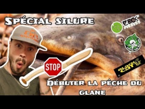 Pește vertical 🤔 Începeți pescuitul de la peștele de pisică în verticală ??? Cum să pescuiască peștele de pisică?