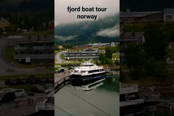 Fjord Boat Tour Norvegia #Viral #CruiseShip #Travel #TrendingShorts #Ship #SeaMan #Sailor #Norway
