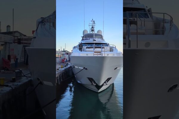 Born to Be Wild: Yacht Alimentare la Gibraltar!
