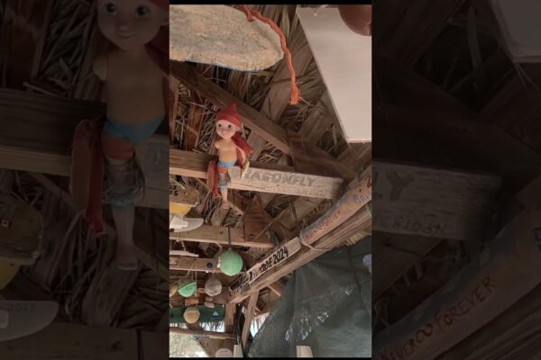 În cele din urmă, un club de iahturi pe care îl pot plăti. (Gratuit). Construit de marinari pentru marinari. Bahamas zdrențuit. #sailing