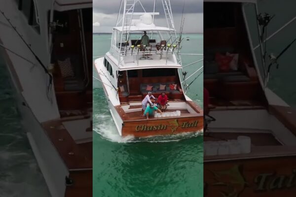 IMENIE IMENTAME DE 80 'WEAVER Sportfish