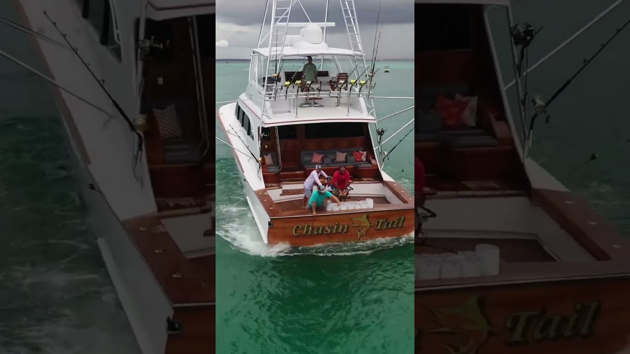 IMENIE IMENTAME DE 80 'WEAVER Sportfish