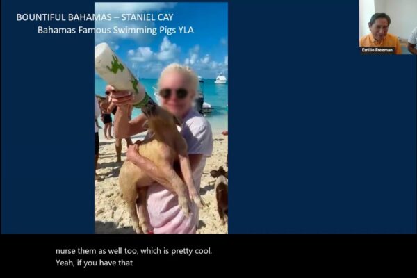 Seadream Yacht Club: New 2028 Caribbean Yachting Voyages