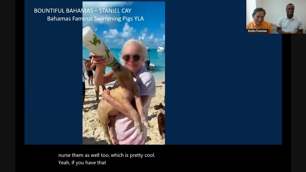 Seadream Yacht Club: New 2028 Caribbean Yachting Voyages