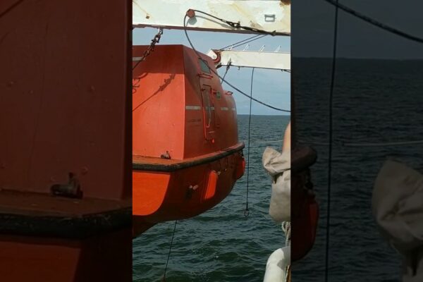 Ora de prânz pentru barca de salvare #Sailor #Ship #Cargoship #LifeBoat #SEA #SeAlife #Shorts #Youtubeshort ⚓⚓⚓🛟🛟🛟