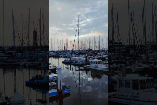 Vedere uimitoare de seară - Yacht Club din Dubai #Shorts