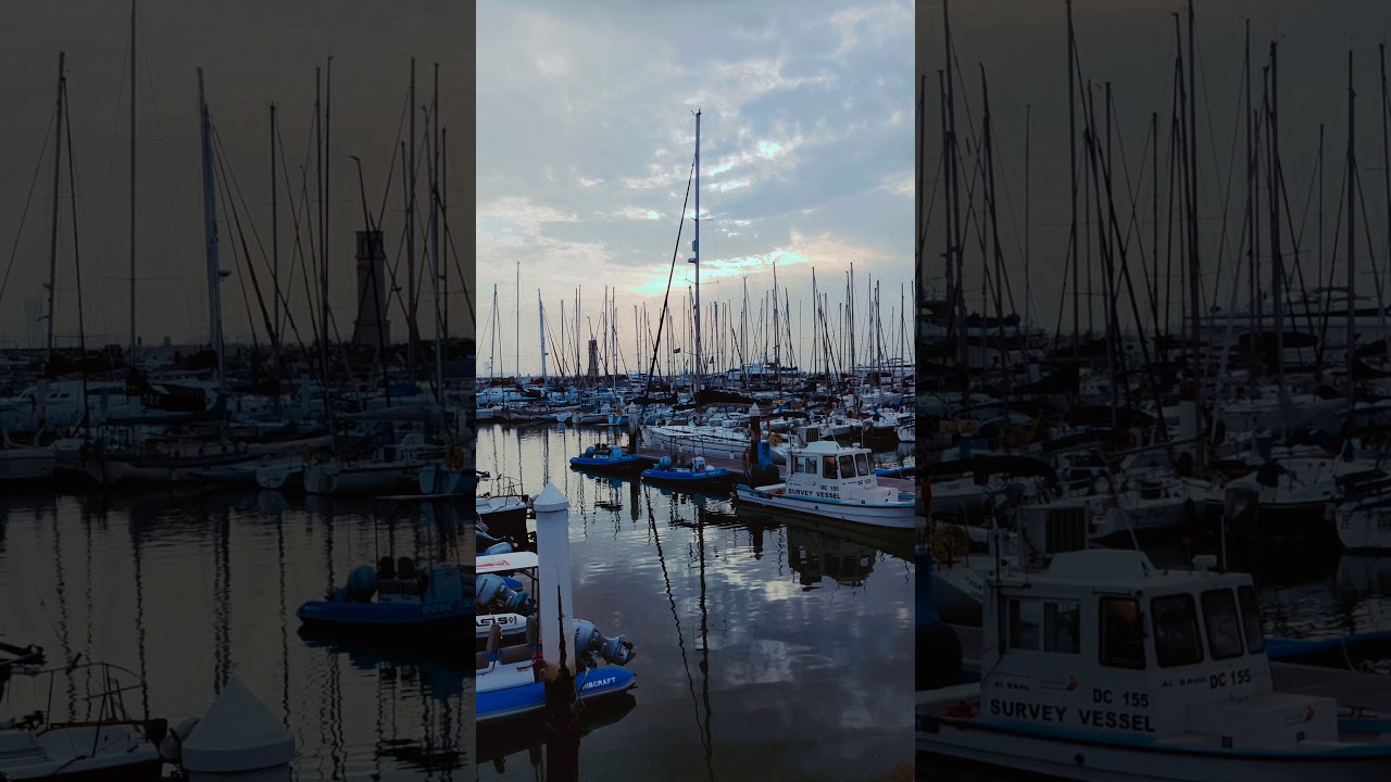 Vedere uimitoare de seară - Yacht Club din Dubai #Shorts