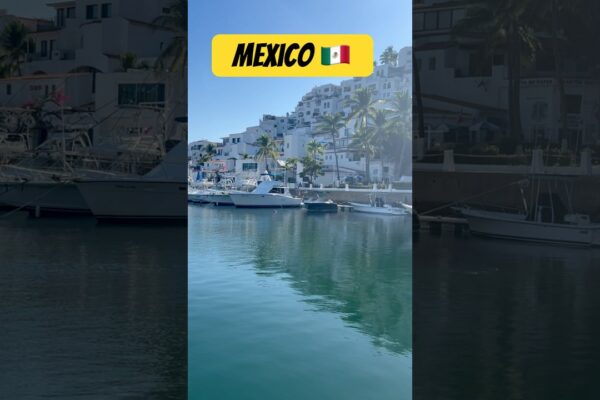 Mexican 🇲🇽 Yacht Club