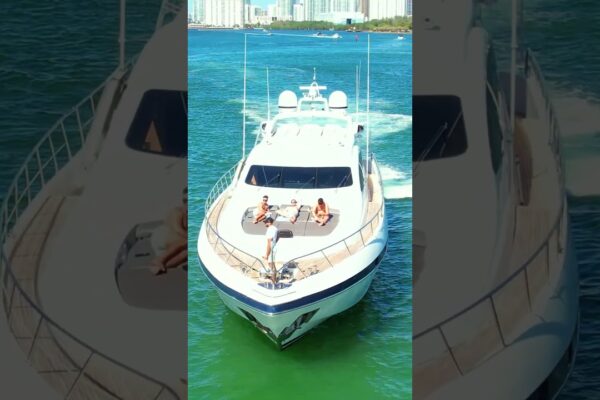 Mangusta la bara de nisip a transportului