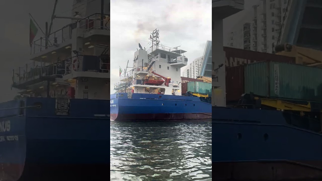 Vederi la râu Miami | Barca de marfă care iese în afara bordului