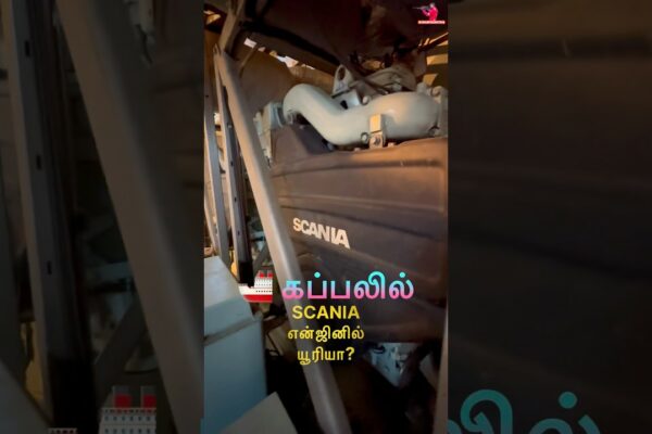 🚢 Uree pe nava Scaniei de pe navă? ⭐️ Navigați cu Sakthi