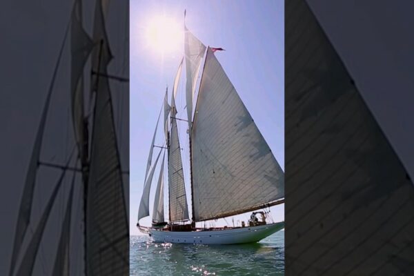 Superba 😍 navă înaltă! #Sailing #SailingShorts #Shorts