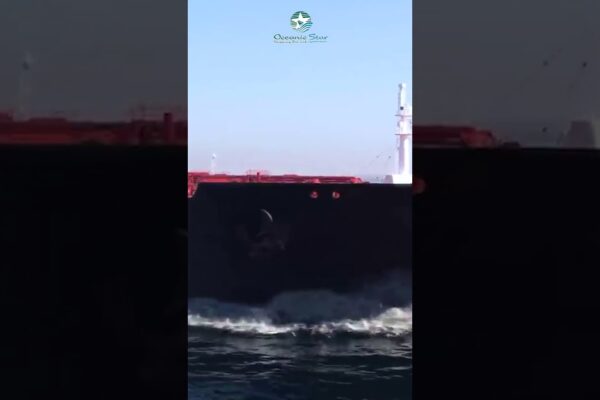 Întoarceți -vă cu transportul cu stele oceanice și diagramează -vă cursul spre succes!