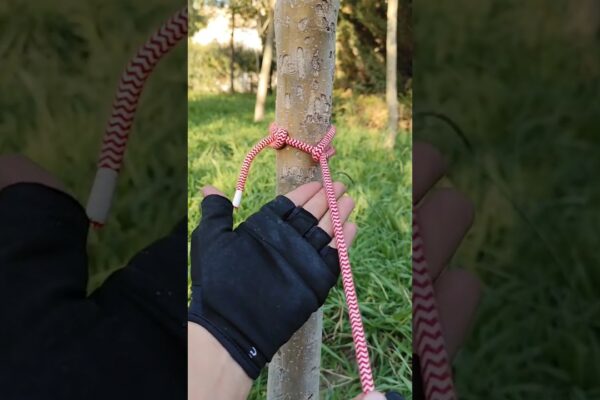 😱 este acest nod de neîntrerupt🆘. #knot #Campping #Shorts #youtubeshorts