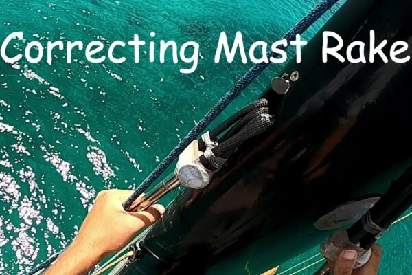 Înțelegerea MAST GAST: scurtarea pădurii pe Paikea