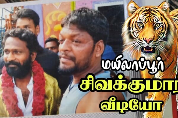 #rowdy chennai 💥mylapore 💯tiger🐯 sivakumar⚙️ video #AwernessVideo