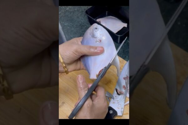 Pomfret/Paplet Fish Curățând mai puțin de un minut. #youtubeshorts