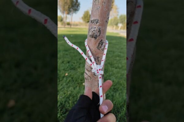 🚨Sastil LOTIFICAȚI NODURI SCURTI? 😳 acesta nu eșuează niciodată #knot #shorts #diy #nature